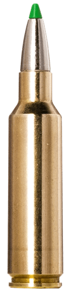 Norma Ammunition 20177512  Ecostrike 300WSM 165gr 20 Per Box/10 Case