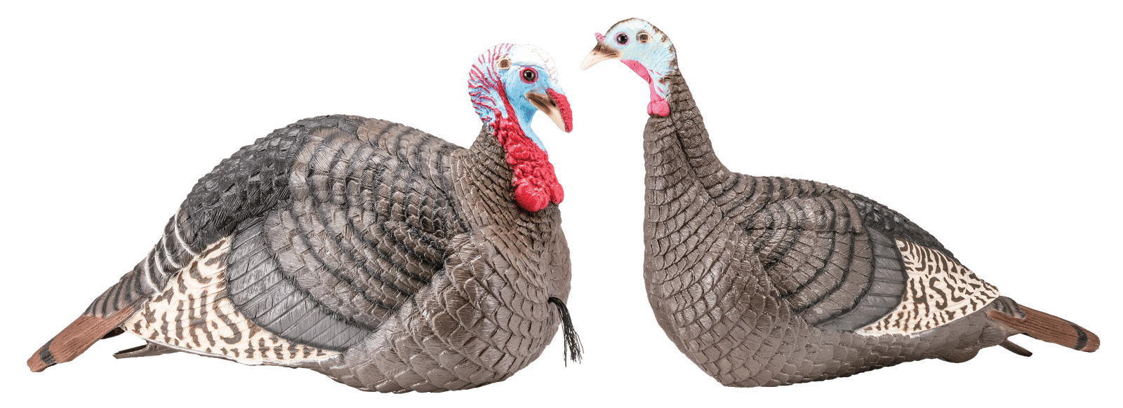 HS Strut 100005 Strut-Lite Jake & Hen Combo Wild Turkey Species Multi Color Synthetic