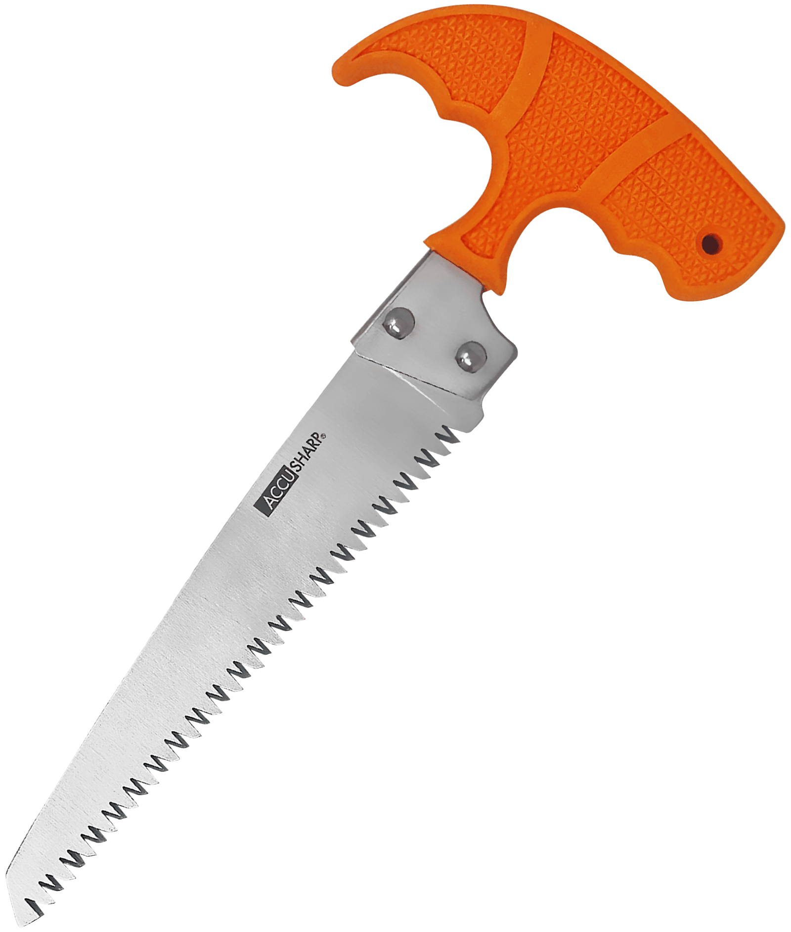AccuSharp 730C Bone Saw  Fixed Saw 6" Stainless Steel Blade/ Blaze Orange T-Shaped Handle