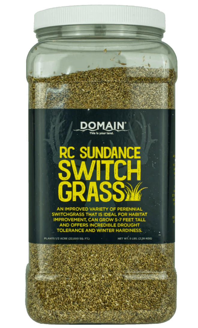DOMAIN RC-SDSG-5   RC SUNDANCE SWITCHGRASS