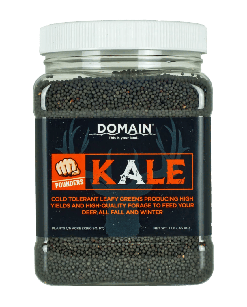 DOMAIN DKS1LB      POUNDER - KALE