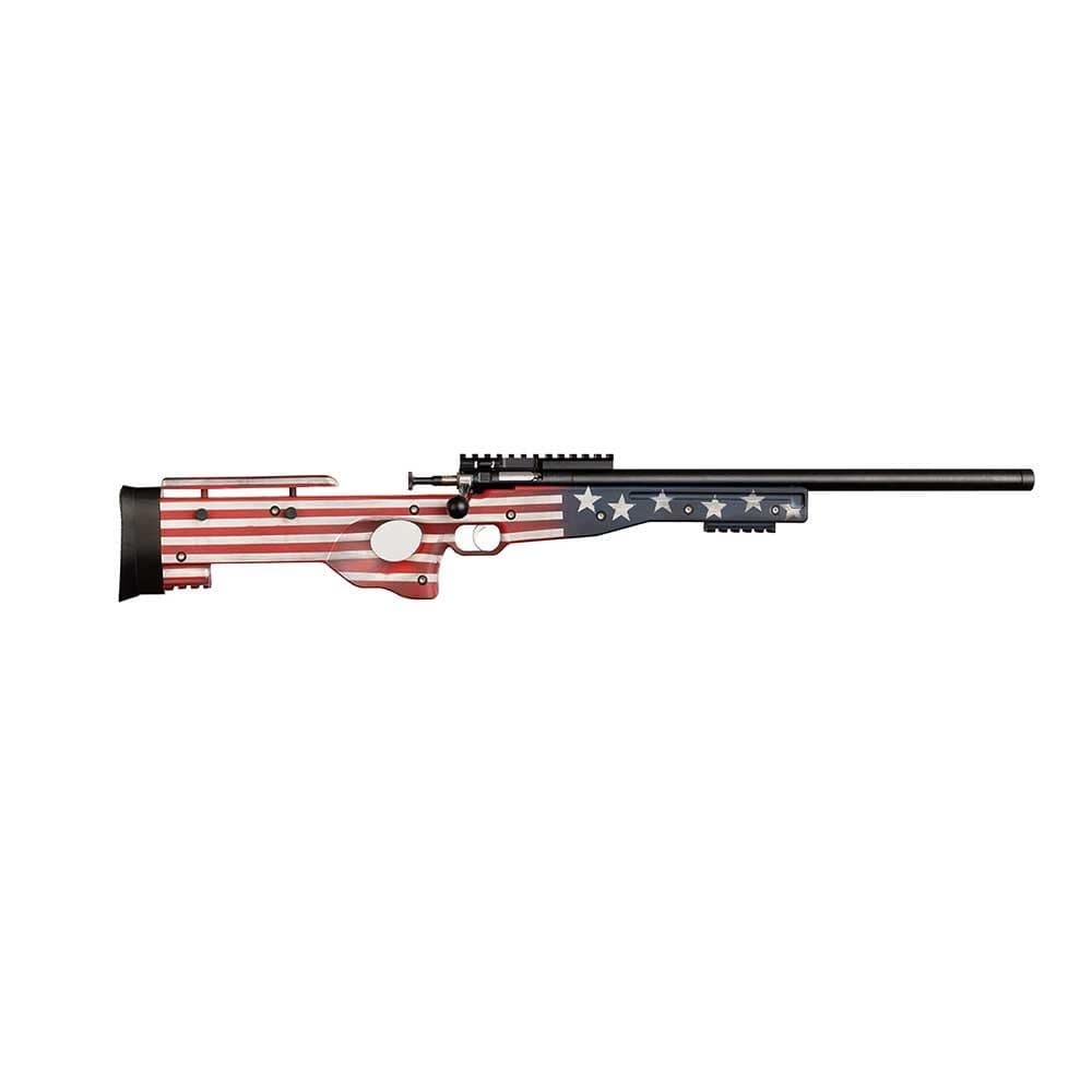 Crickett Precision Old Glory Rifle .22 LR Single Shot 16.1 Blued Barrel Precision Stock