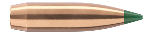 SIERRA 7170  .224  22  69GR TVK      100