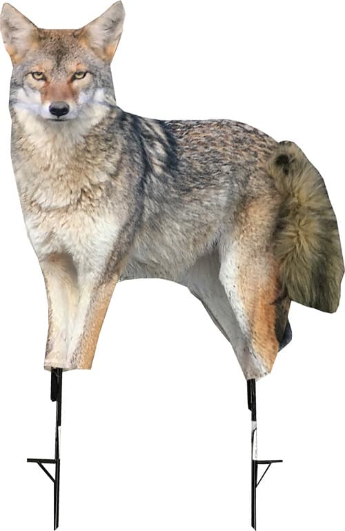 MONTANA DECOY COYOTE SONG DOG
