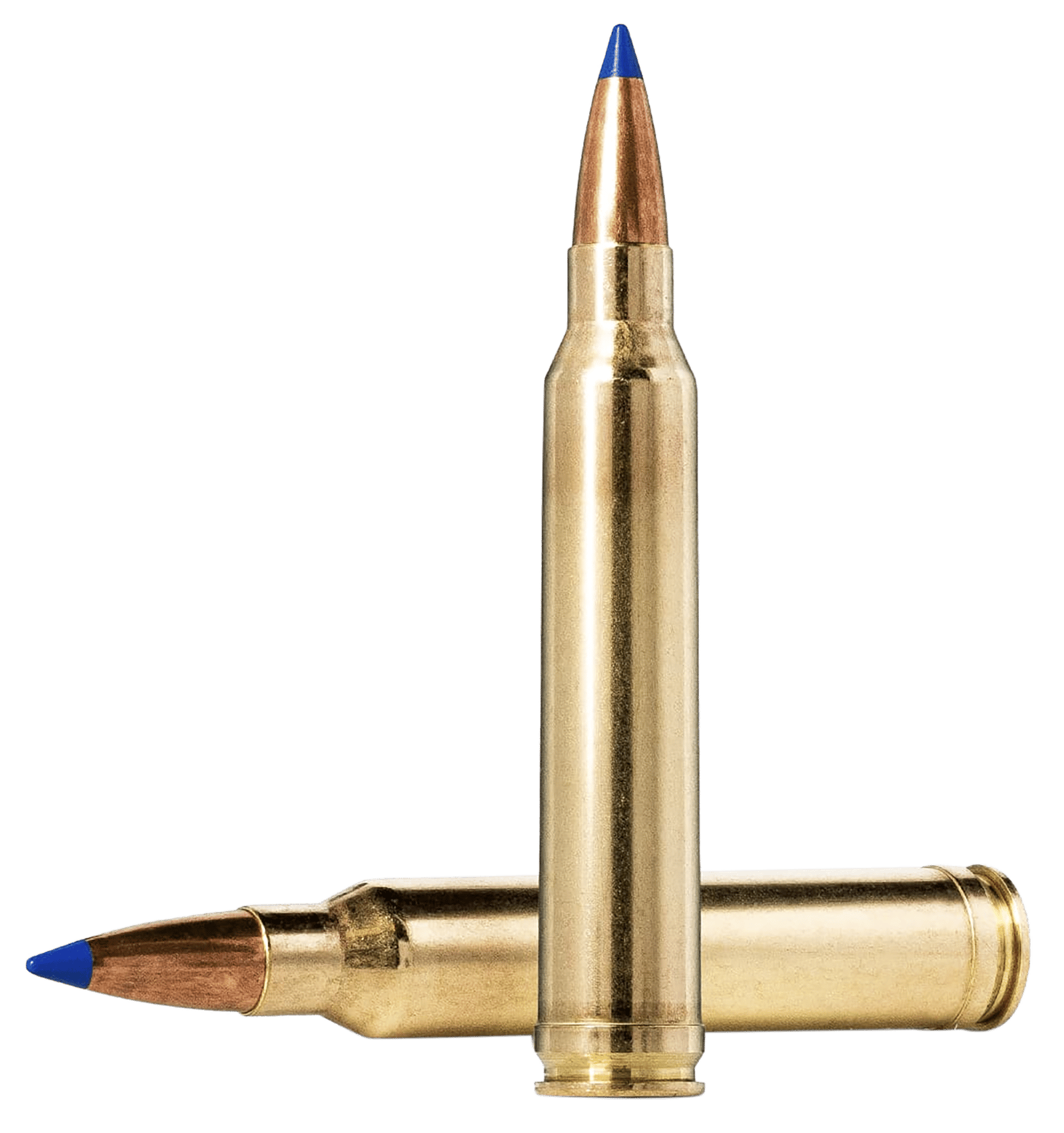 Norma Ammunition 20176332 Dedicated Hunting Bondstrike 300WinMag 180gr Bonded Polymer Tip 20 Per Box/10 Case