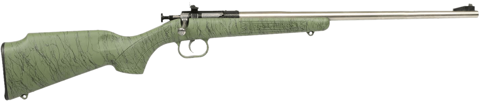 Crickett KSA2442 Gen2  Youth 22 LR 1rd 16.13" Stainless Single Shot Barrel, Stainless Steel Receiver, Green w/Black Webbing Fixed Synthetic Stock