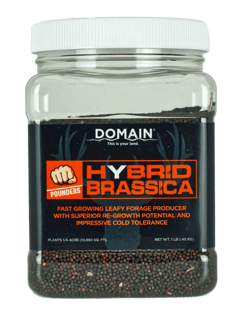 DOMAIN DHBS1LB     POUNDER - HYBRID BRASSICA