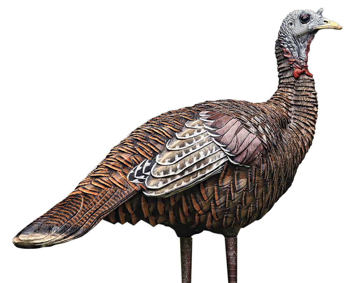 Avian X AVXAVX8006 LCD Lookout Hen Turkey Species Multi Color Dura-Rubber