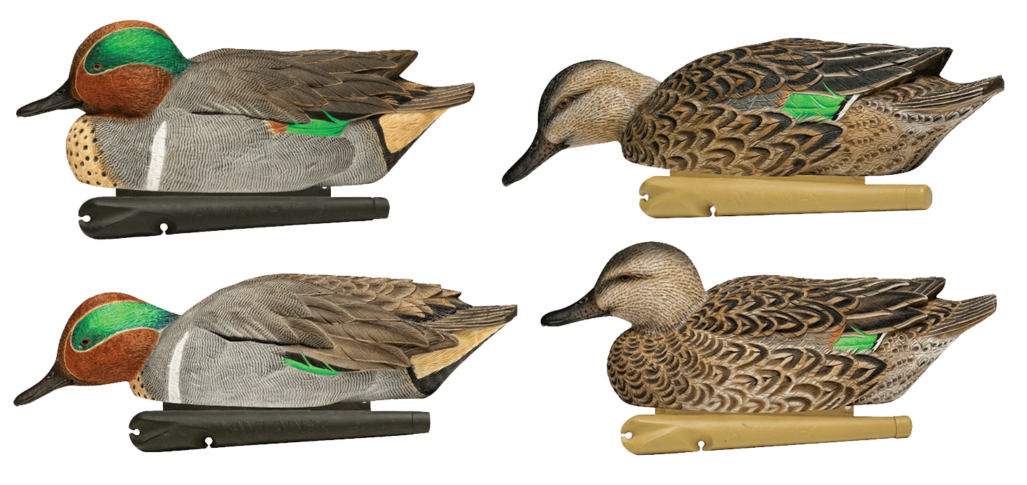 Avian X AVXAVX8081 Topflight Green Winged Teal Floating Multi-Color - 6 Pack