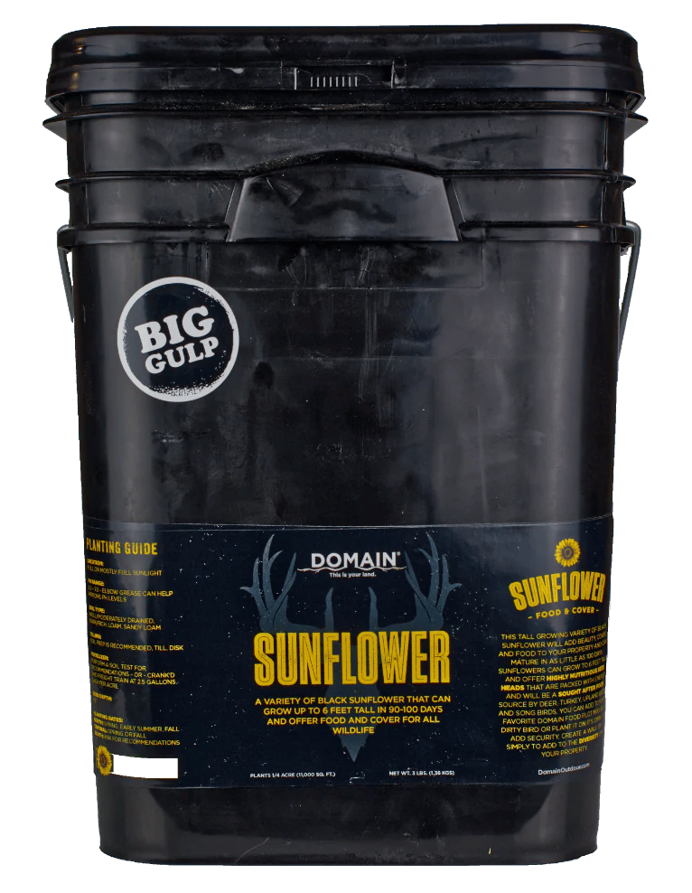 DOMAIN DSS3LB      SUNFLOWER