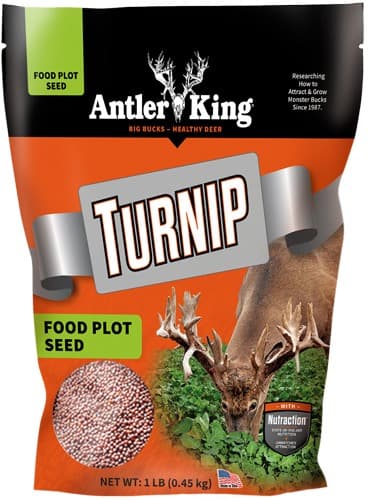 ANTLER KING TURNIPS 1# BAG ANNUAL 1/8 ACRE