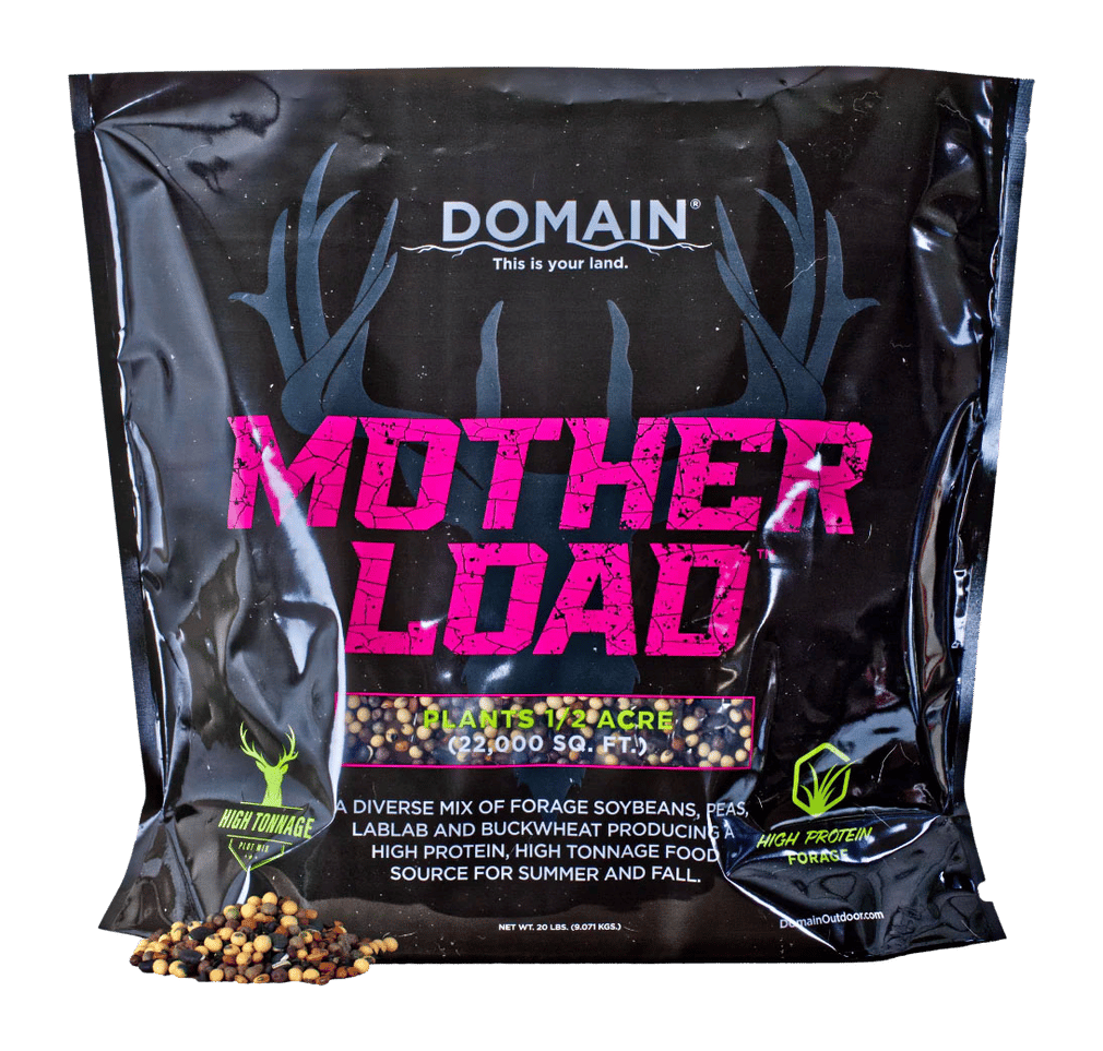 DOMAIN MLFP20      MOTHER LOAD