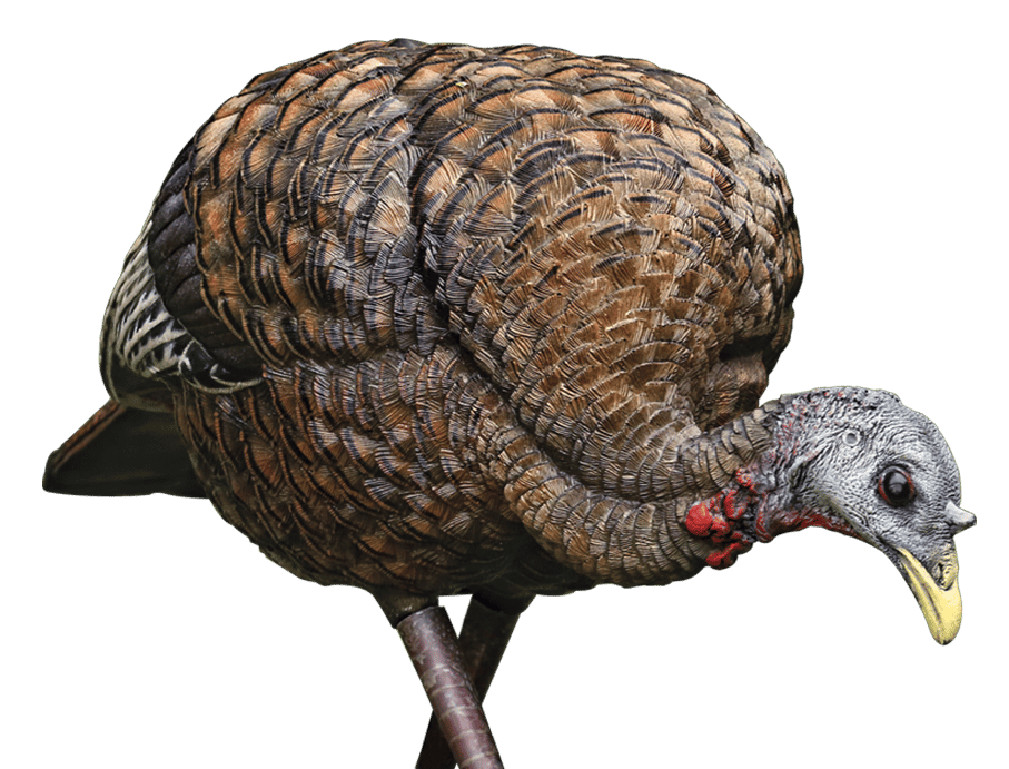 Avian X AVXAVX8007 LCD Feeder Hen Turkey Species Multi Color Dura-Rubber