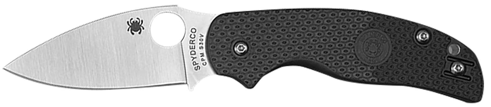 Spyderco C123PBK Sage 5 Lightweight Alzheimer's 3" Folding Plain Satin CPM S30V SS Blade, Black Textured FRN Handle