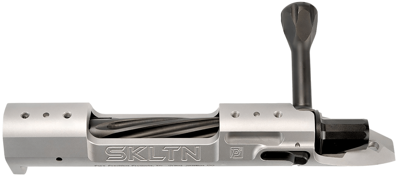 P2 IN-00285 SKLTN LA LH STANDARD TI
