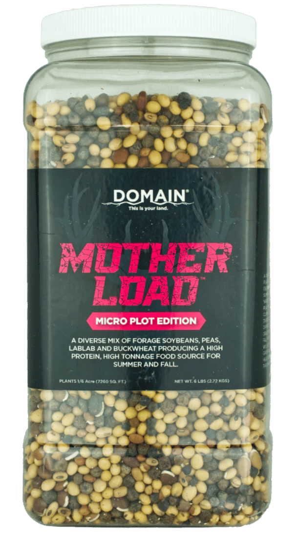 DOMAIN MLFP6-MICRO MOTHER LOAD - MICRO