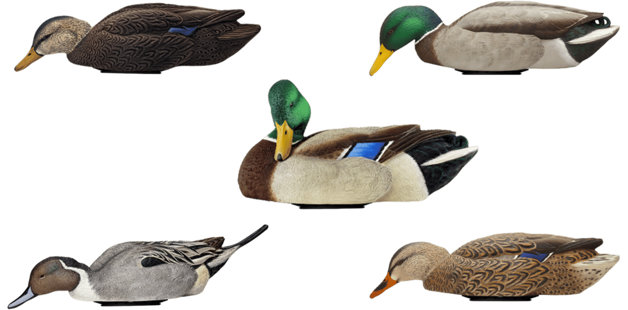 Avian X AVX-PSW-MDLH Power Swimmer  Mallards Multi-Color