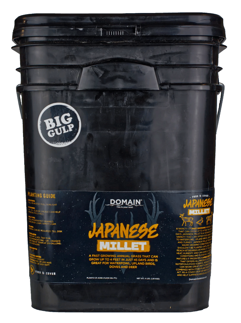DOMAIN DJMS4LB     JAPANESE MILLET
