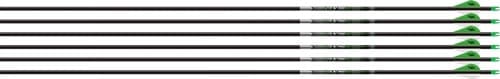 EASTON AXIS 5MM 500 W/ HALFOUT 6-PACK W/ 2" BLAZER VANES