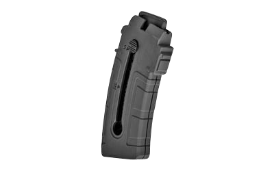 Rossi 358-0018-00 RS22W  10rd 22 WMR Black Polymer