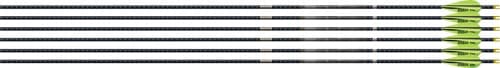 EASTON 4MM FMJ MATCH GRADE 300 6-PACK W/ 3" AAE HYBRID VANES<