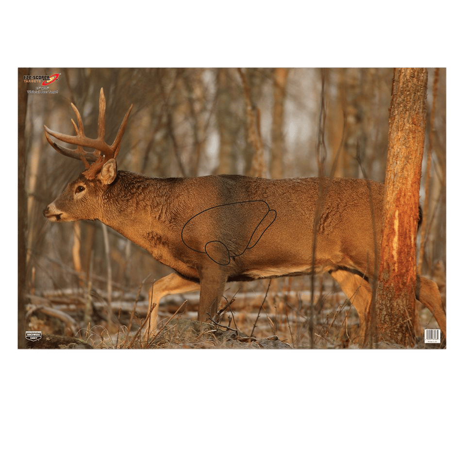 Birchwood Casey 37481 EZE-Scorer Whitetail Deer Paper Hanging 23" x 35" Multi-Color 2 Per Pkg