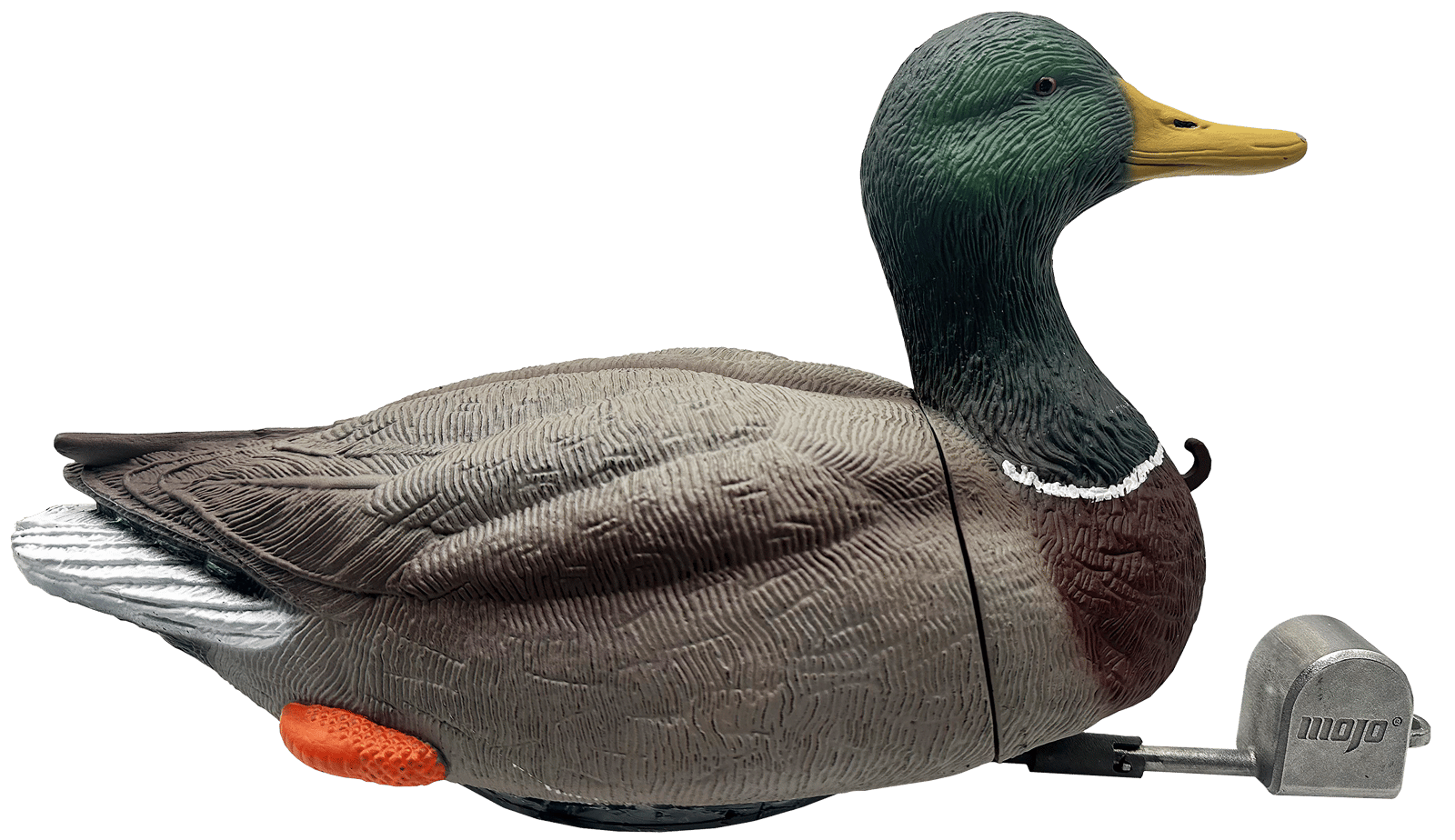 Mojo Outdoors HW2554 Dabbler Duck Mallard Drake Species