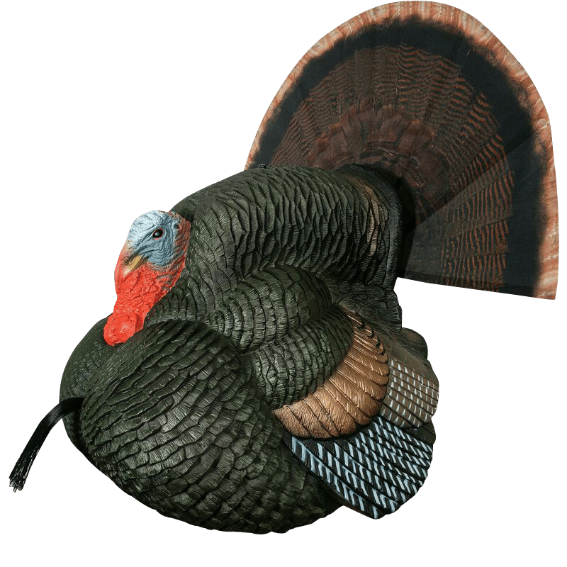 Primos 69076 Lil' Gobblestopper Strutter Box Call Turkey Sounds