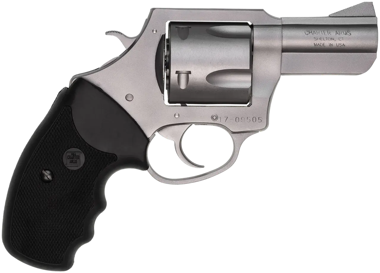 Charter Arms 74520 Pitbull 45 ACP 5rd, 2.50" Matte Stainless Steel Barrel, Cylinder & Frame, Standard Hammer, Finger Grooved Black Rubber Grip