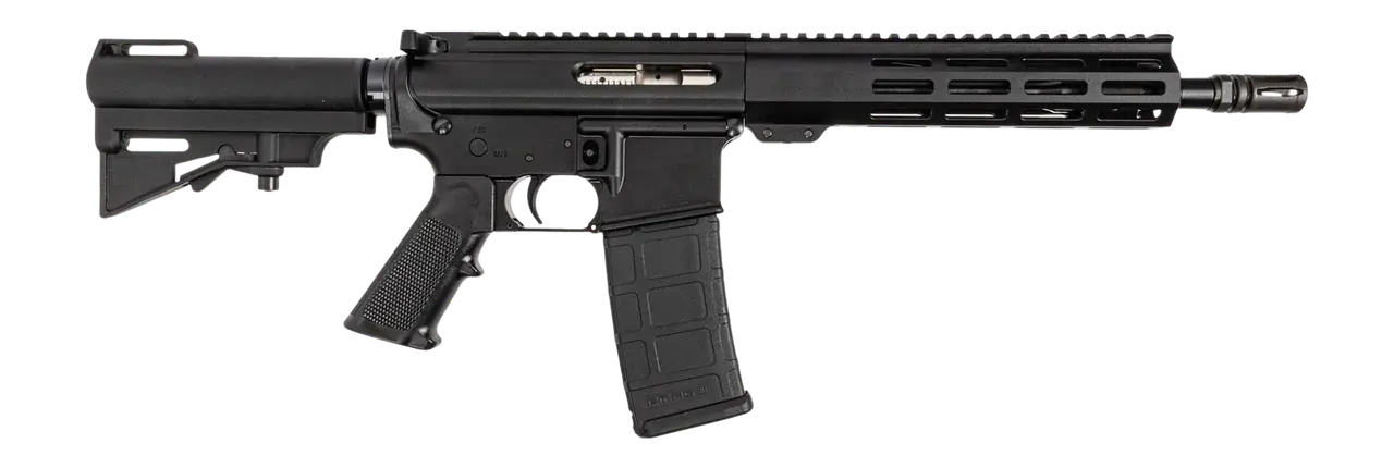 Dpms Panther Arms DP51655231683 DP-15 Shortacle 300 AAC Blackout 30+1 10.50" Black Nitride Threaded Barrel, Black Hardcoat Anodize Aluminum Receiver w/Picatinny Rail. M-LOK Handguard, Black Polymer Ad